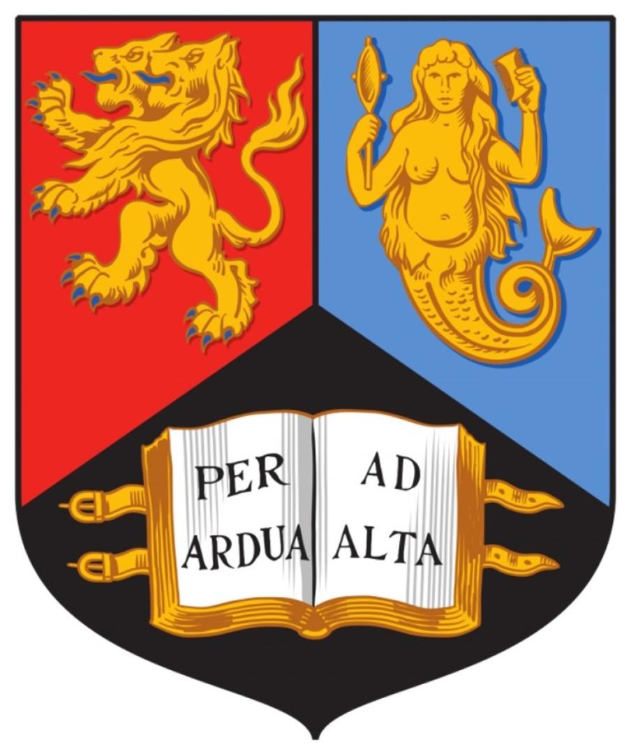 BUSINESS MANAGEMENT BA (Hons) / FdA