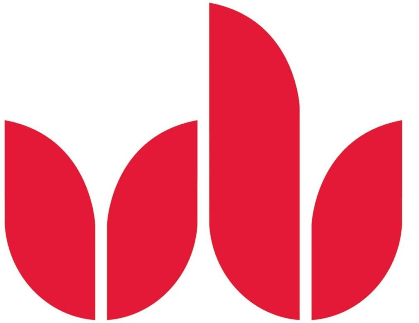 International Business BA (Hons)