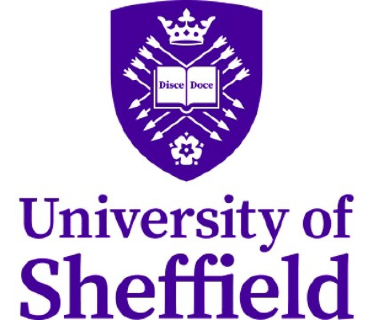 BA (Honours) Animation with Foundation Year