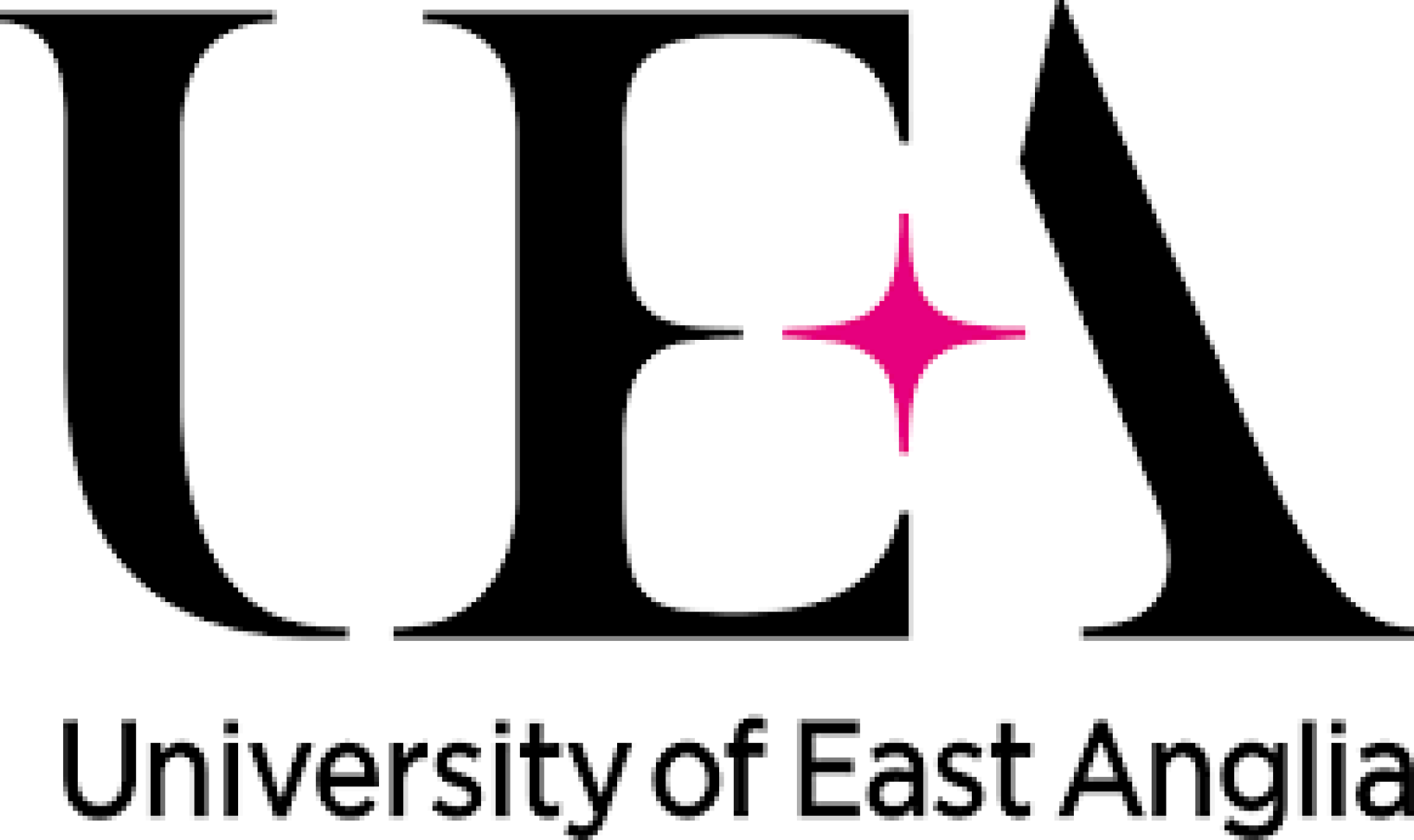 MSc Cognitive Neuroscience
