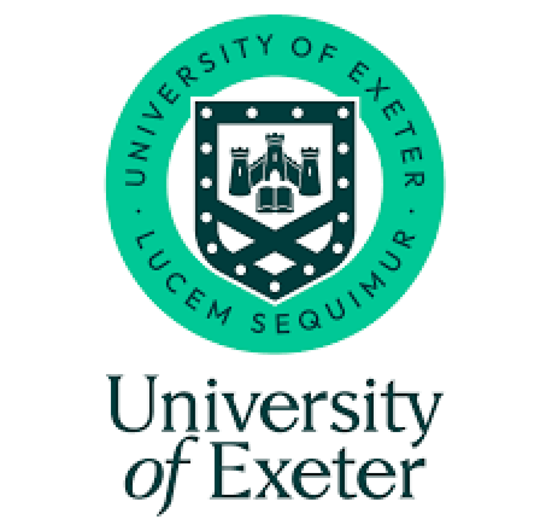 MSc Global Security Studies