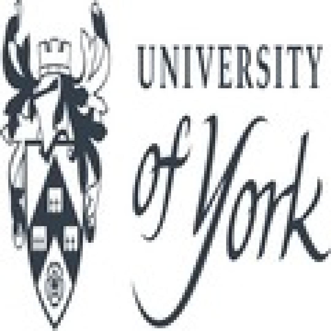MSc Economics