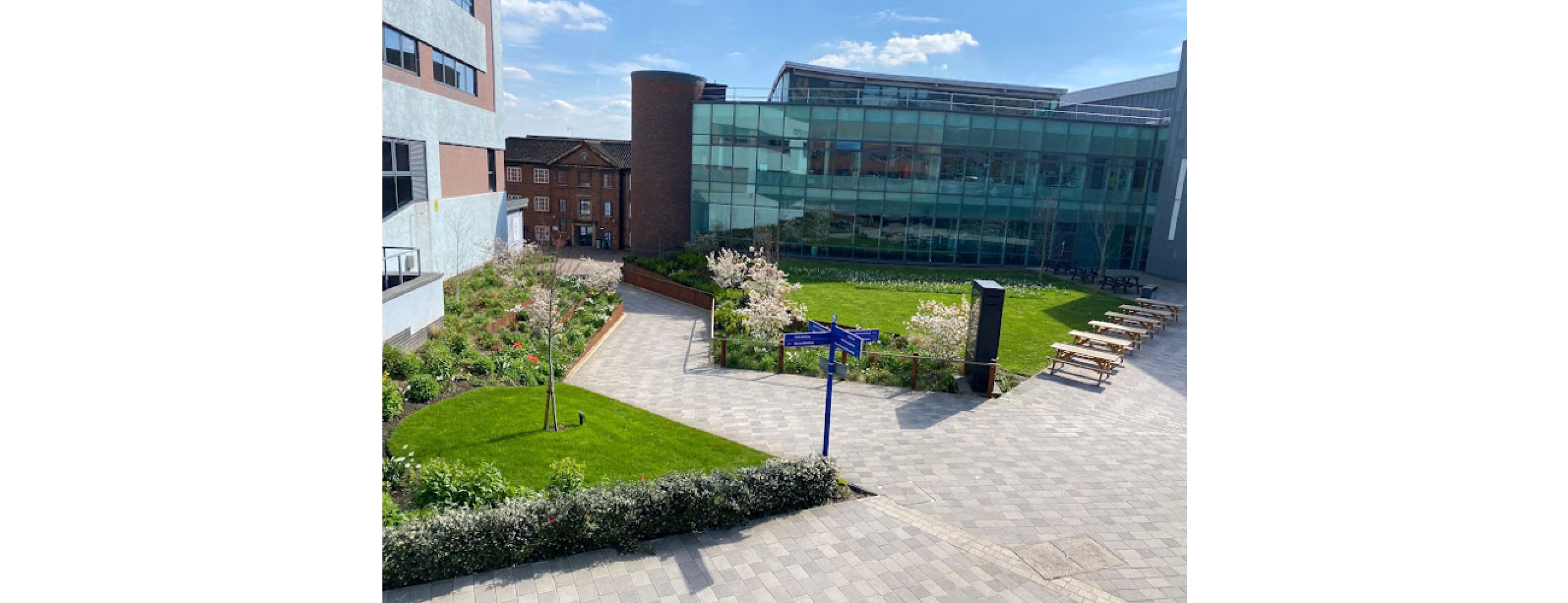 University of Sheffield