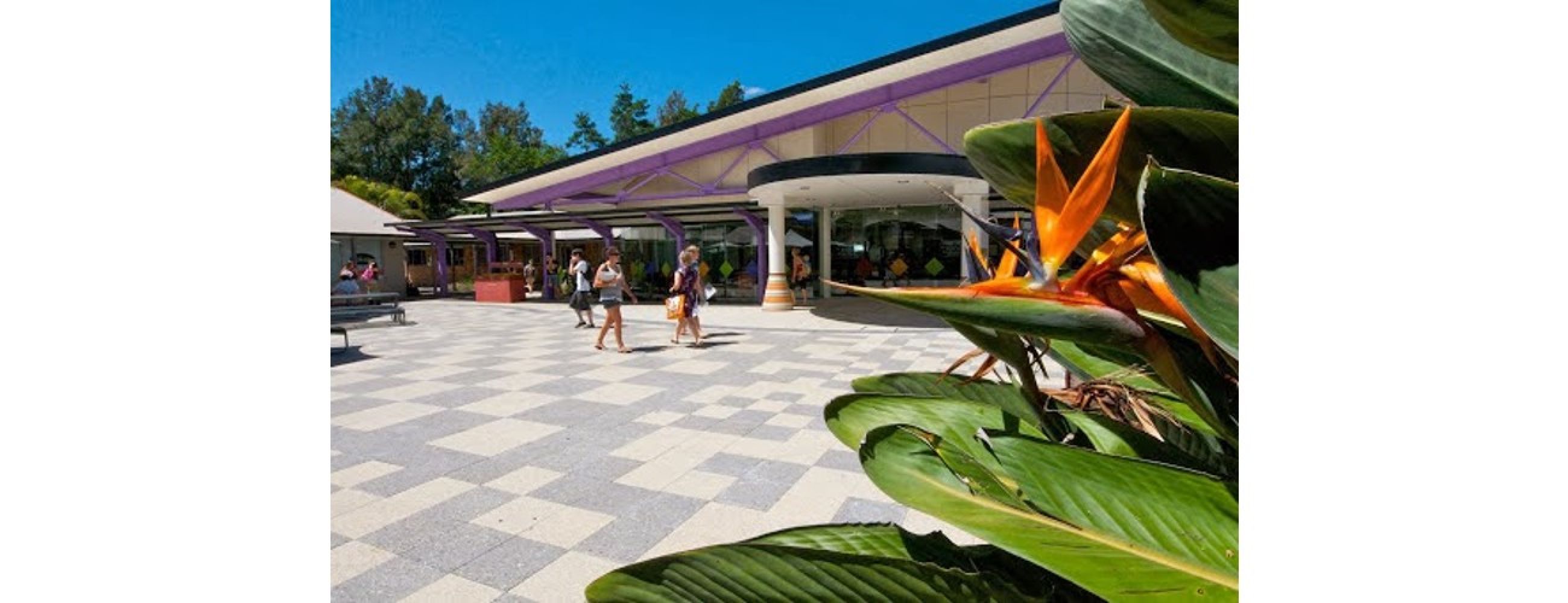 Southern Cross University