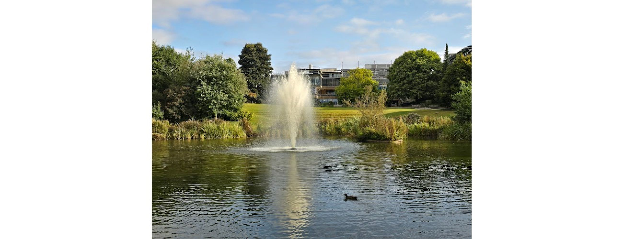 University of Bath
