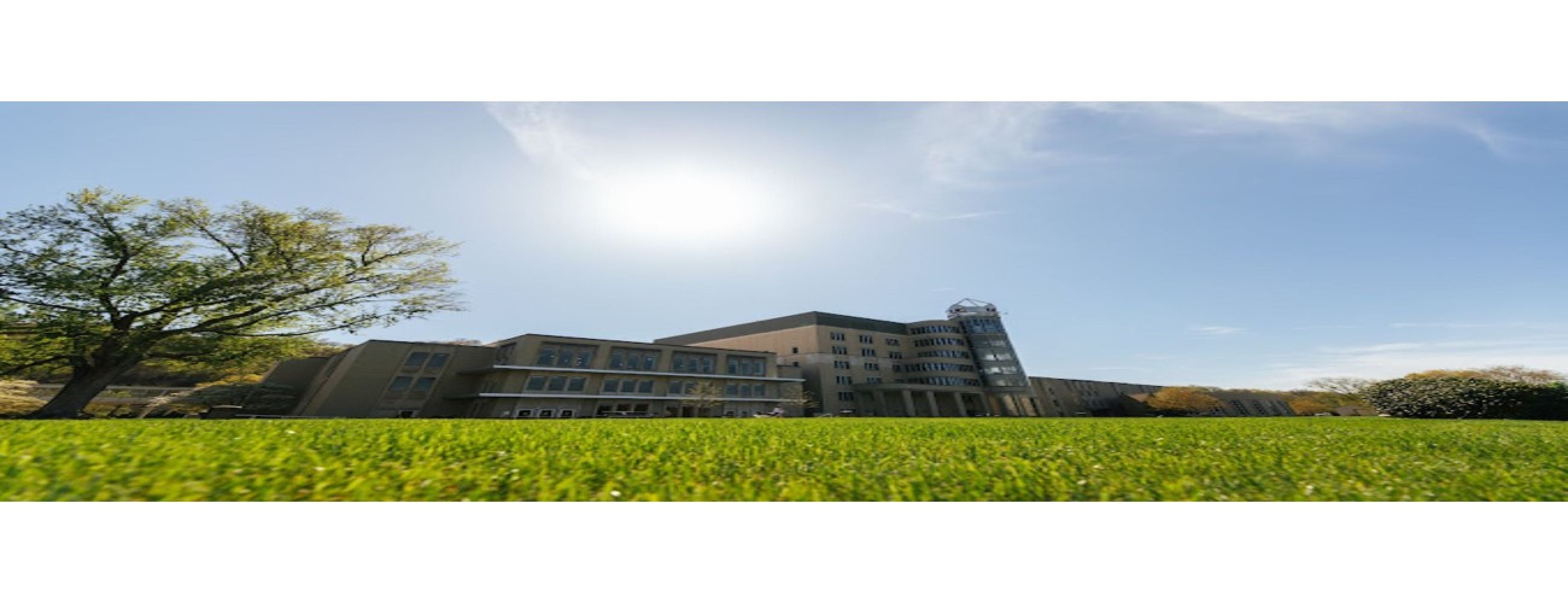 University of Charleston